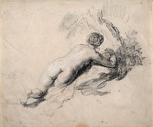 Donna nuda reclinata